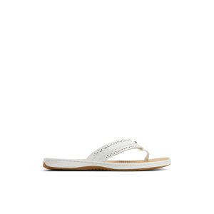 Seafish 3 Flip Flop Sandal